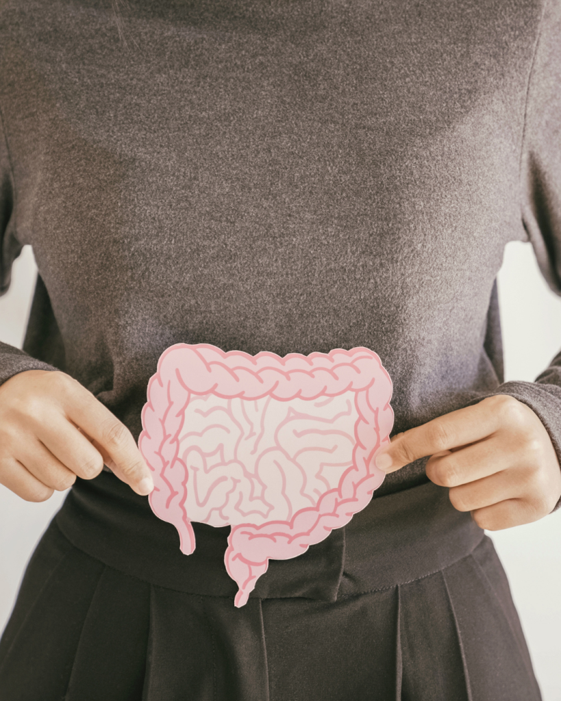 Gut Health & Hormones