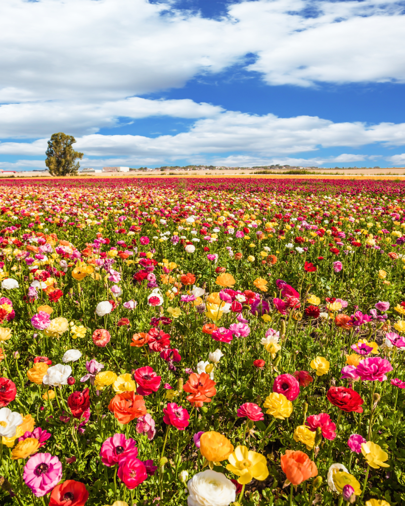 Spring & Your Hormones