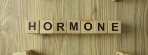 BHRT vs Traditional Hormone Therapy: What’s the Difference?
