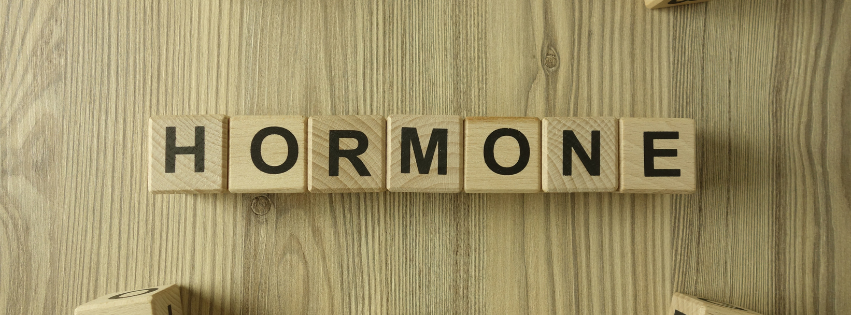 BHRT vs Traditional Hormone Therapy: What’s the Difference?